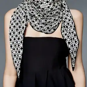 HERMES-ROZANE-SCARF-WB